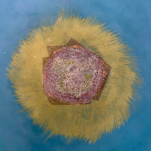 Load image into Gallery viewer, Bowl No 2
